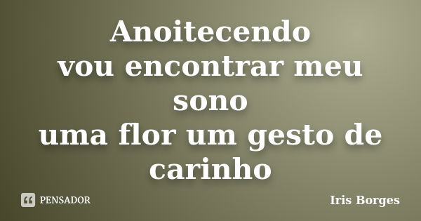 Anoitecendo vou encontrar meu sono uma flor um gesto de carinho... Frase de Iris Borges.