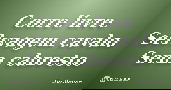 Corre livre Selvagem cavalo Sem cabresto... Frase de Iris Borges.