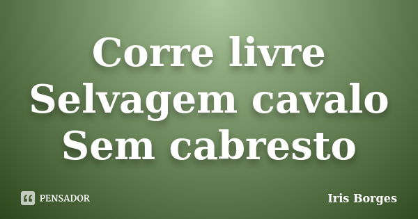 Corre livre Selvagem cavalo Sem cabresto... Frase de Iris Borges.