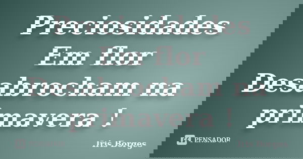 Preciosidades Em flor Desabrocham na primavera !... Frase de Iris Borges.