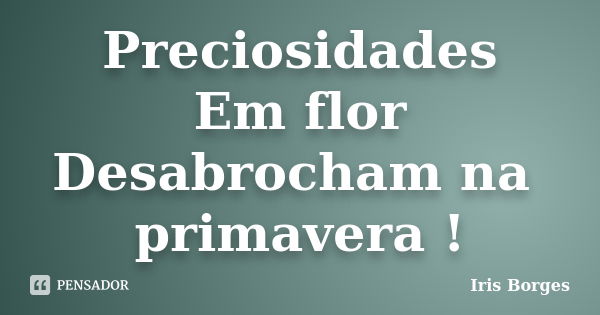 Preciosidades Em flor Desabrocham na primavera !... Frase de Iris Borges.