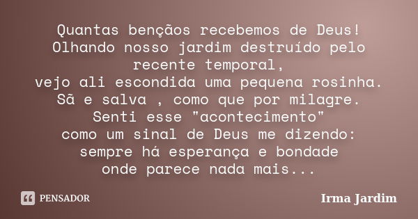 Quantas bençãos recebemos de Deus! Olhando nosso jardim destruído pelo recente temporal, vejo ali escondida uma pequena rosinha. Sã e salva , como que por milag... Frase de Irma Jardim.