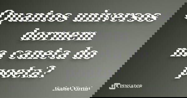 Quantos universos dormem na caneta do poeta?... Frase de Isabel Furini.