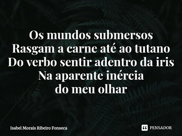 ⁠Os mundos submersos
Rasgam a carne até ao tutano
Do verbo sentir adentro da iris
Na aparente inércia
do meu olhar... Frase de Isabel Morais Ribeiro Fonseca.