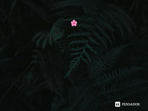 TROCO EM FLOR
🌸
Do cardo em flor
Vide de florido sentimento
Num céu de esplendorosas rosas
Estrela do mar nas roseiras de pedra
Sono eterno dos braços que cant... Frase de Isabel Morais Ribeiro Fonseca.