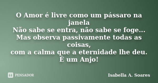 O Amor é livre como um pássaro na janela Não sabe se entra, não sabe se foge... Mas observa passivamente todas as coisas, com a calma que a eternidade lhe deu. ... Frase de Isabella A. Soares.