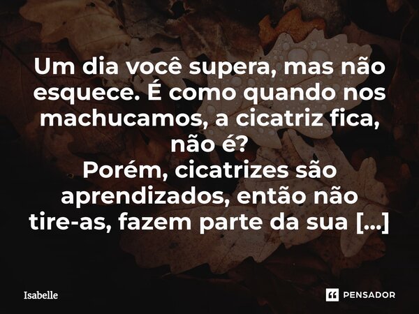 Um dia você supera, mas não esquece. É como quando nos machucamos, a cicatriz fica, não é? Porém, cicatrizes são aprendizados, então não tire-as, fazem parte da... Frase de isabelle.