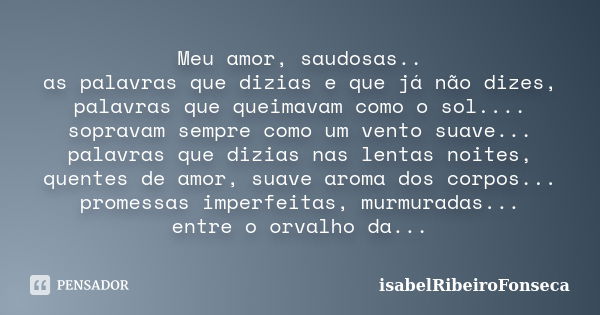 Meu amor, saudosas.. as palavras que dizias e que já não dizes, palavras que queimavam como o sol.... sopravam sempre como um vento suave... palavras que dizias... Frase de IsabelRibeiroFonseca.