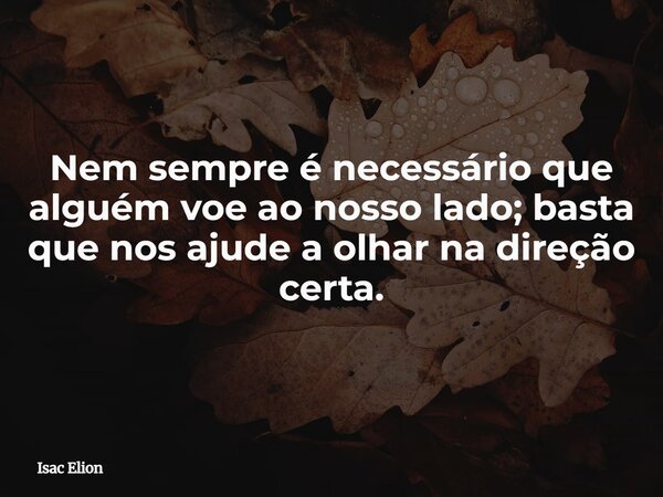Nem sempre é necessário que alguém voe ao nosso lado; basta que nos ajude a olhar na direção certa.... Frase de Isac Elion.