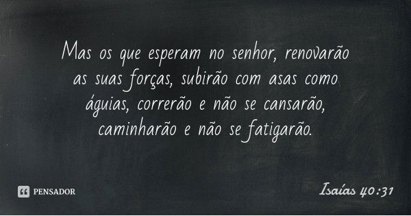 Mas os que esperam no senhor, renovarão as suas forças, subirão com asas como águias, correrão e não se cansarão, caminharão e não se fatigarão.... Frase de Isaías 40:31.