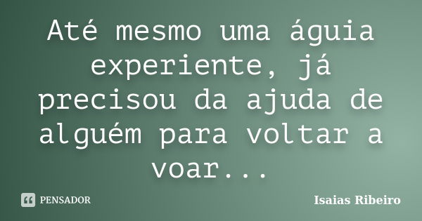 Até mesmo uma águia experiente, já precisou da ajuda de alguém para voltar a voar...... Frase de Isaías Ribeiro.