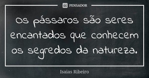 Os pássaros são seres encantados que conhecem os segredos da natureza.... Frase de Isaías Ribeiro.