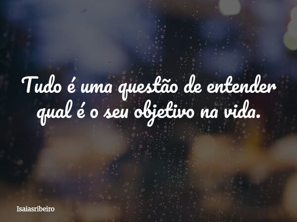 Tudo é uma questão de entender qual é o seu objetivo na vida.... Frase de isaiasribeiro.