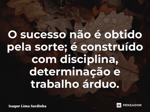 ⁠O sucesso não é obtido pela sorte; é construído com disciplina, determinação e trabalho árduo.... Frase de Isaque Lima Sardinha.