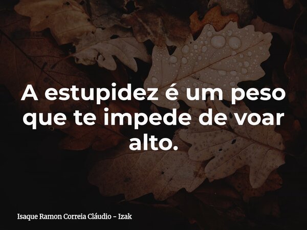 A estupidez é um peso que te impede de voar alto.... Frase de Isaque Ramon Correia Cláudio - Izak.