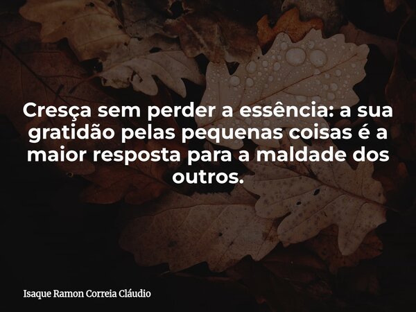 Cresça sem perder a essência: a sua gratidão pelas pequenas coisas é a maior resposta para a maldade dos outros.... Frase de Isaque Ramon Correia Cláudio.