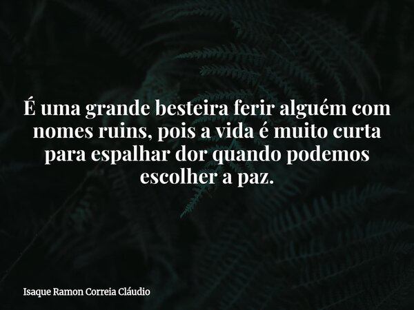 É uma grande besteira ferir alguém com nomes ruins, pois a vida é muito curta para espalhar dor quando podemos escolher a paz.... Frase de Isaque Ramon Correia Cláudio.