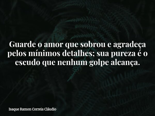 Guarde o amor que sobrou e agradeça pelos mínimos detalhes; sua pureza é o escudo que nenhum golpe alcança.... Frase de Isaque Ramon Correia Cláudio.