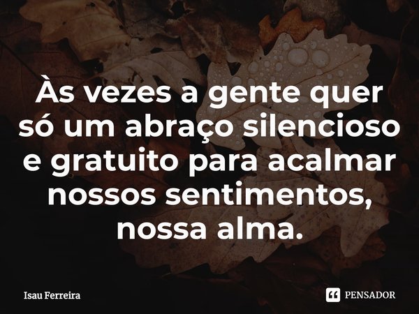 ⁠Às vezes a gente quer só um abraço silencioso e gratuito para acalmar nossos sentimentos, nossa alma.... Frase de Isau Ferreira.