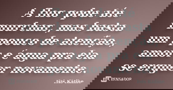 A flor pode até murchar, mas basta um pouco de atenção, amor e água pra ela se erguer novamente.... Frase de Isis Kaline.