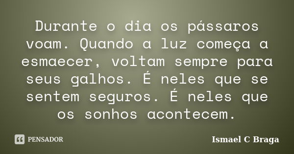 Durante o dia os pássaros voam. Quando a luz começa a esmaecer, voltam sempre para seus galhos. É neles que se sentem seguros. É neles que os sonhos acontecem.... Frase de Ismael C Braga.