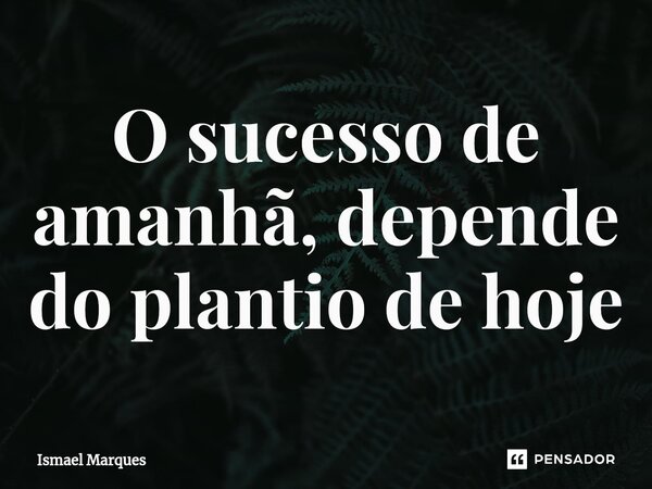 O sucesso de amanhã, depende ⁠do plantio de hoje... Frase de Ismael Marques.