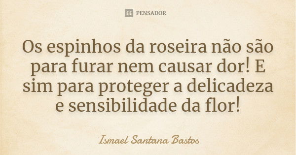 Os espinhos da roseira não são para furar nem causar dor! E sim para proteger a delicadeza e sensibilidade da flor!... Frase de Ismael Santana Bastos.