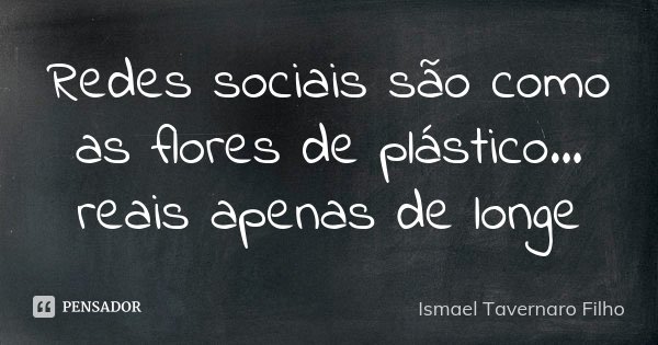 Redes sociais são como as flores de plástico... reais apenas de longe... Frase de Ismael Tavernaro Filho.