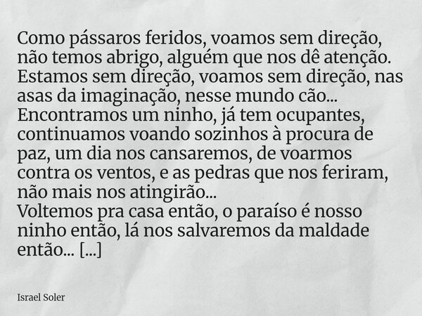 Como pássaros feridos, voamos sem direção, não temos abrigo, alguém que nos dê atenção. Estamos sem direção, voamos sem direção, nas asas da imaginação, nesse ... Frase de Israel Soler.