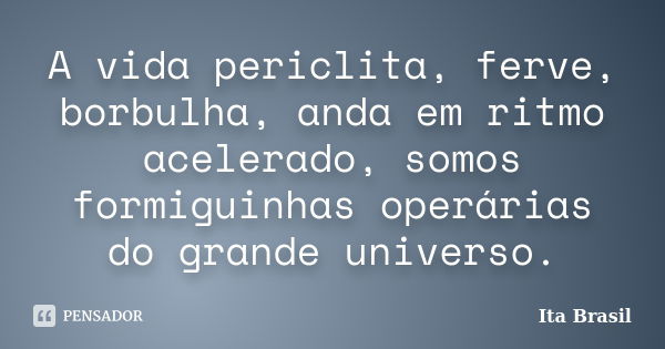 Live Moy 7 Rica - Venha Se Divertir Comigo! 