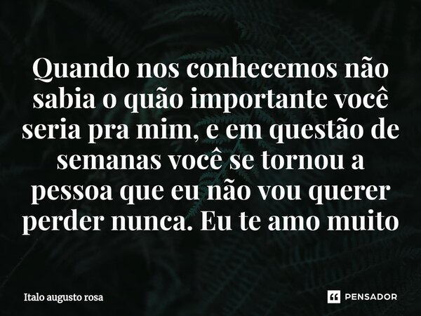 Quando nos conhecemos não sabia o quão importante você seria pra mim, ⁠e em questão de semanas você se tornou a pessoa que eu não vou querer perder nunca. Eu te... Frase de Italo augusto rosa.