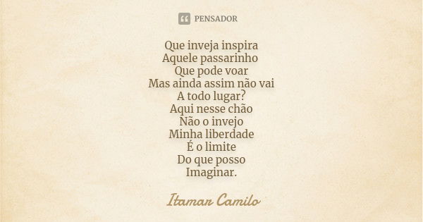 Que inveja inspira Aquele passarinho Que pode voar Mas ainda assim não vai A todo lugar? Aqui nesse chão Não o invejo Minha liberdade É o limite Do que posso Im... Frase de Itamar Camilo.