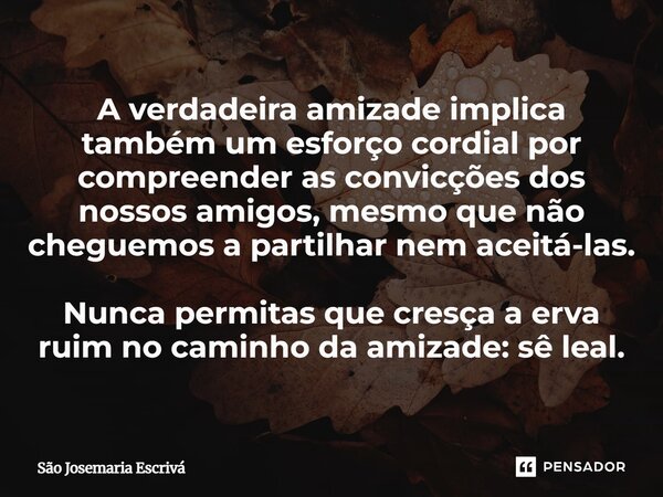 A verdadeira amizade implica também um esforço cordial por compreender as convicções dos nossos amigos, mesmo que não cheguemos a partilhar nem aceitá-las. Nunc... Frase de São Josemaria Escrivá.