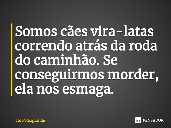⁠Somos cães vira-latas correndo atrás da roda do caminhão. Se conseguirmos morder, ela nos esmaga.... Frase de Ito Pedragrande.