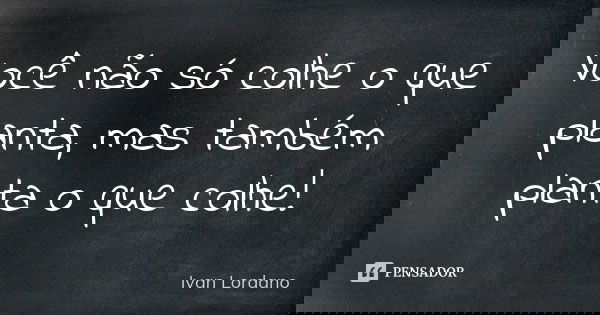 Você não só colhe o que planta, mas também planta o que colhe!... Frase de Ivan Lordano.