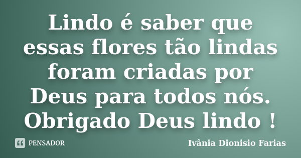 Lindo é saber que essas flores tão lindas foram criadas por Deus para todos nós. Obrigado Deus lindo !... Frase de Ivânia Dionisio Farias.