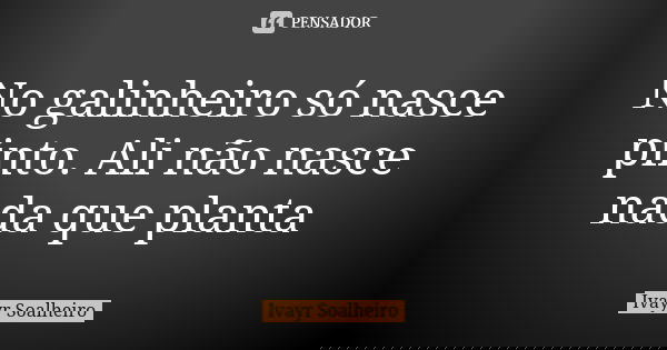 No galinheiro só nasce pinto. Ali não nasce nada que planta... Frase de Ivayr Soalheiro.