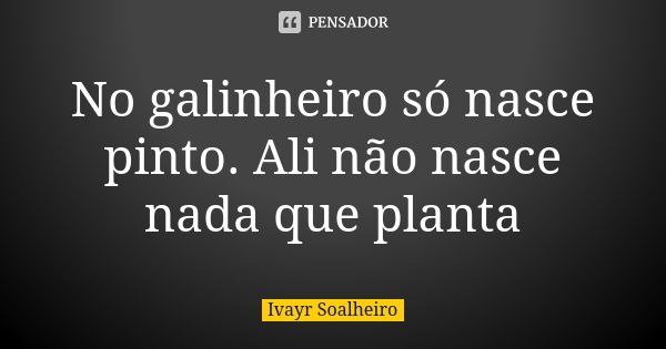 No galinheiro só nasce pinto. Ali não nasce nada que planta... Frase de Ivayr Soalheiro.