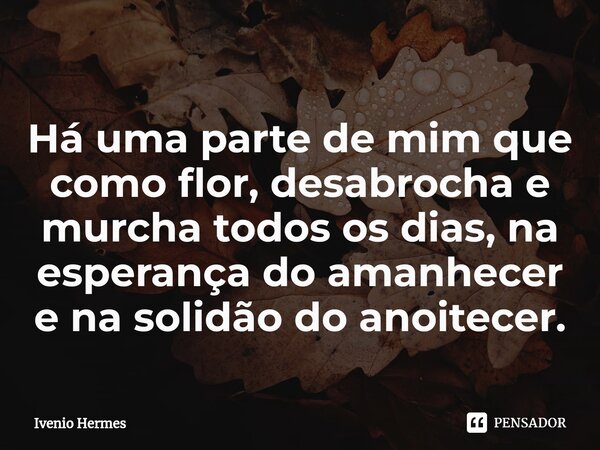 Há uma parte de mim que como flor, desabrocha e murcha todos os dias, ⁠na esperança do amanhecer e na solidão do anoitecer.... Frase de Ivenio Hermes.