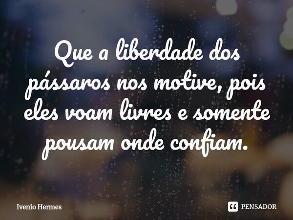 ⁠Que a liberdade dos pássaros nos motive, pois eles voam livres e somente pousam onde confiam.... Frase de Ivenio Hermes.