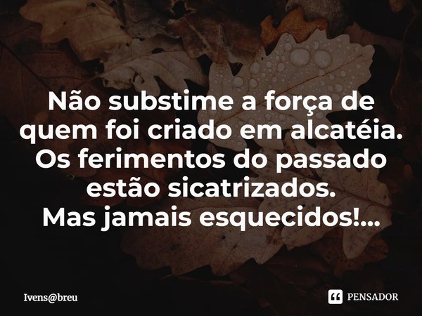 ⁠Não substime a força de quem foi criado em alcatéia.
Os ferimentos do passado estão sicatrizados.
Mas jamais esquecidos!...... Frase de Ivensbreu.