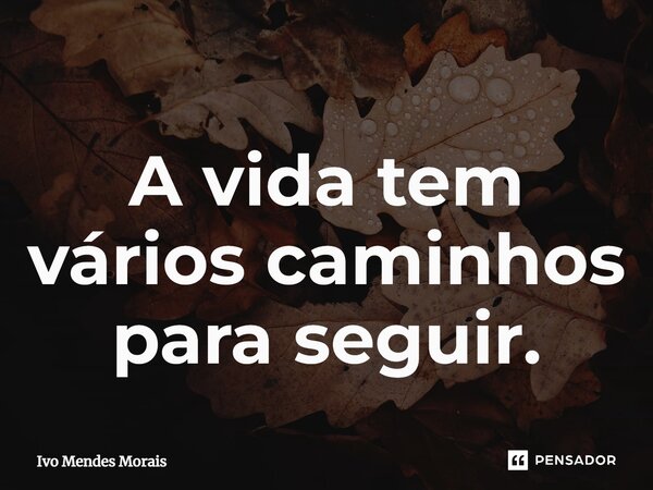 A vida tem vários caminhos para seguir.... Frase de Ivo Mendes Morais.