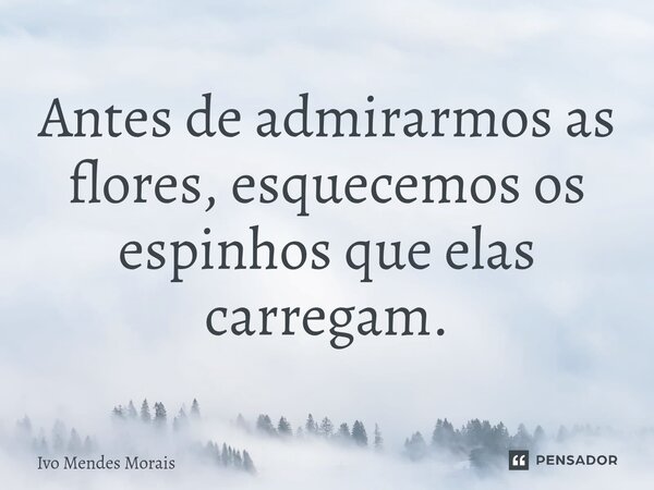Antes de admirarmos as flores, esquecemos os espinhos que elas carregam.... Frase de Ivo Mendes Morais.
