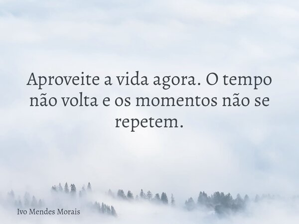 Aproveite a vida agora. O tempo não volta e os momentos não se repetem.... Frase de Ivo Mendes Morais.