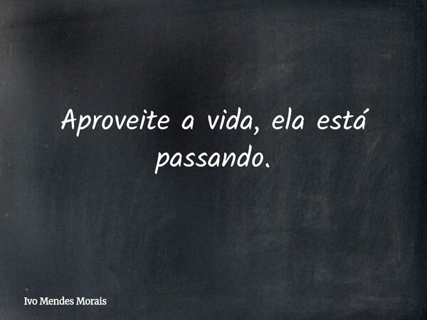 Aproveite a vida, ela está passando.... Frase de Ivo Mendes Morais.