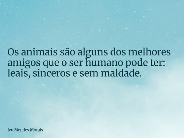 Os animais são alguns dos melhores amigos que o ser humano pode ter: leais, sinceros e sem maldade.... Frase de Ivo Mendes Morais.