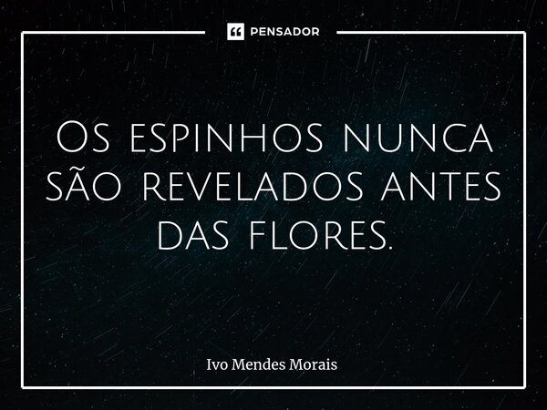 Os espinhos nunca são revelados antes das flores.... Frase de Ivo Mendes Morais.