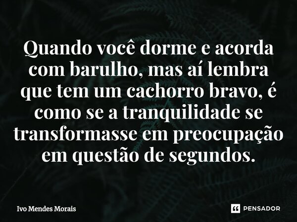 Quando você dorme e acorda com barulho, mas aí lembra que tem um cachorro bravo, é como se a tranquilidade se transformasse em preocupação em questão de segundo... Frase de Ivo Mendes Morais.