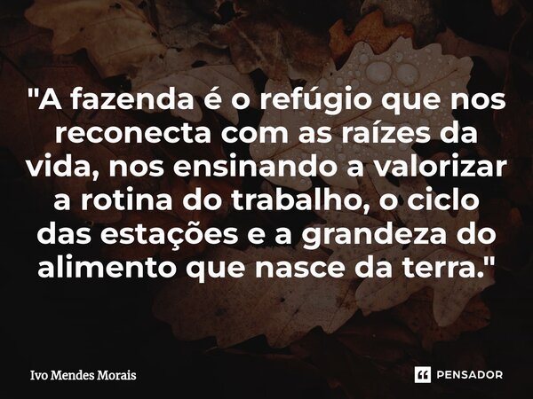 ⁠"A fazenda é o refúgio que nos reconecta com as raízes da vida, nos ensinando a valorizar a rotina do trabalho, o ciclo das estações e a grandeza do alime... Frase de Ivo Mendes Morais.