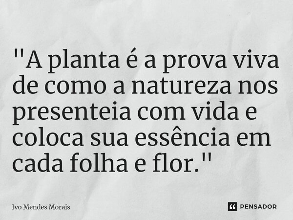 ⁠"A planta é a prova viva de como a natureza nos presenteia com vida e coloca sua essência em cada folha e flor."... Frase de Ivo Mendes Morais.